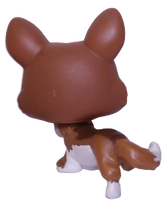 #0897 Corgi